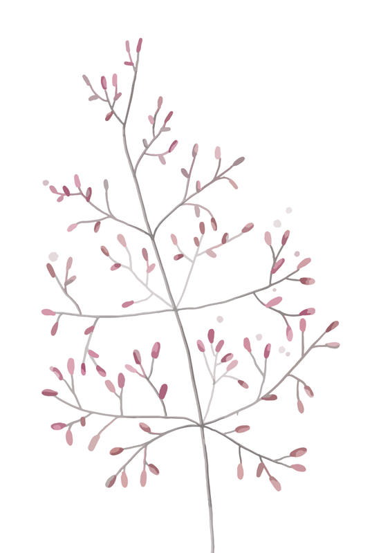 pellicola privacy finestre piccoli rami - TenStickers