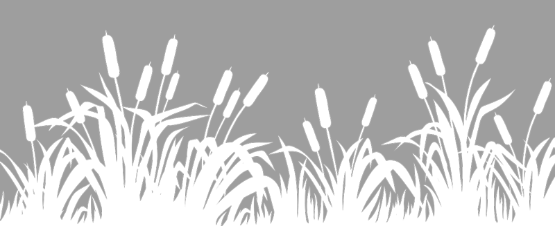 Fensterfolie Schilf und Gräser - TenStickers