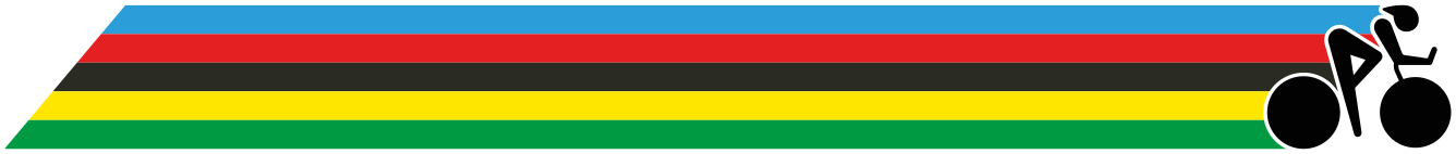 World Champion colors stripes bike sticker - TenStickers