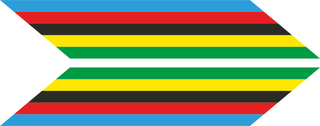 Sticker vélo flèches couleurs du champion du monde - TenStickers