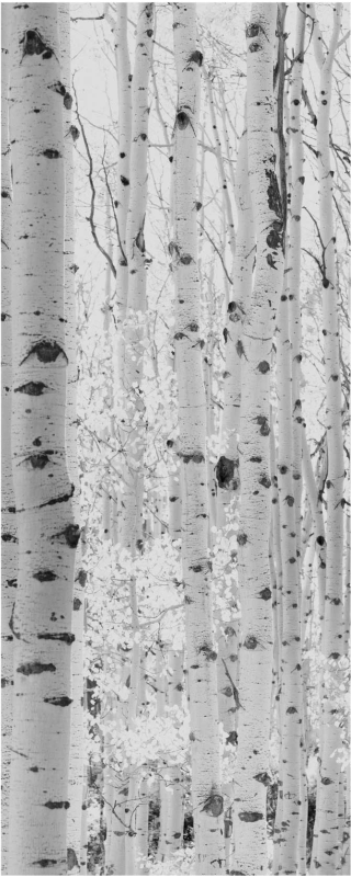 black and white trees furniture sticker - TenStickers