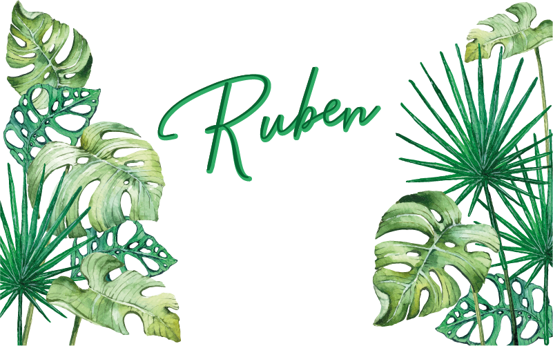 벽 스티커 열대의 큰 잎 - TenStickers