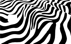 Kreditkarte Aufkleber zebra-druck-original - TenStickers
