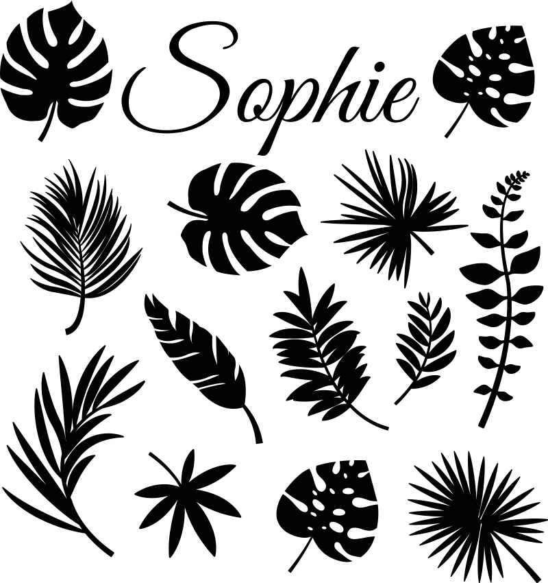 车窗贴纸 龟背竹叶子名字 - TenStickers