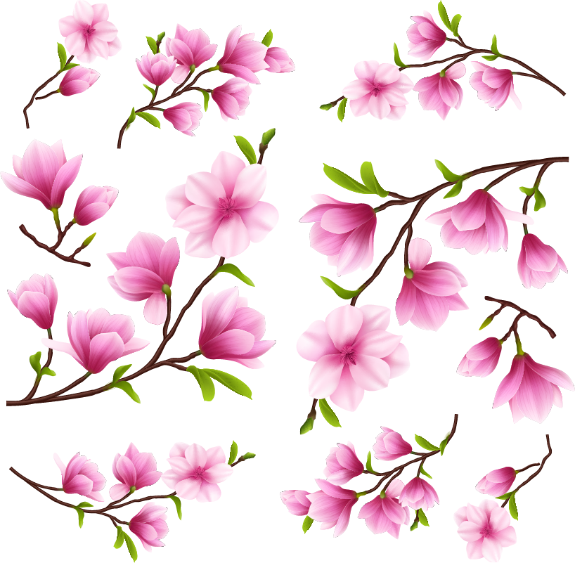 贴纸 多彩的玉兰花 - TenStickers