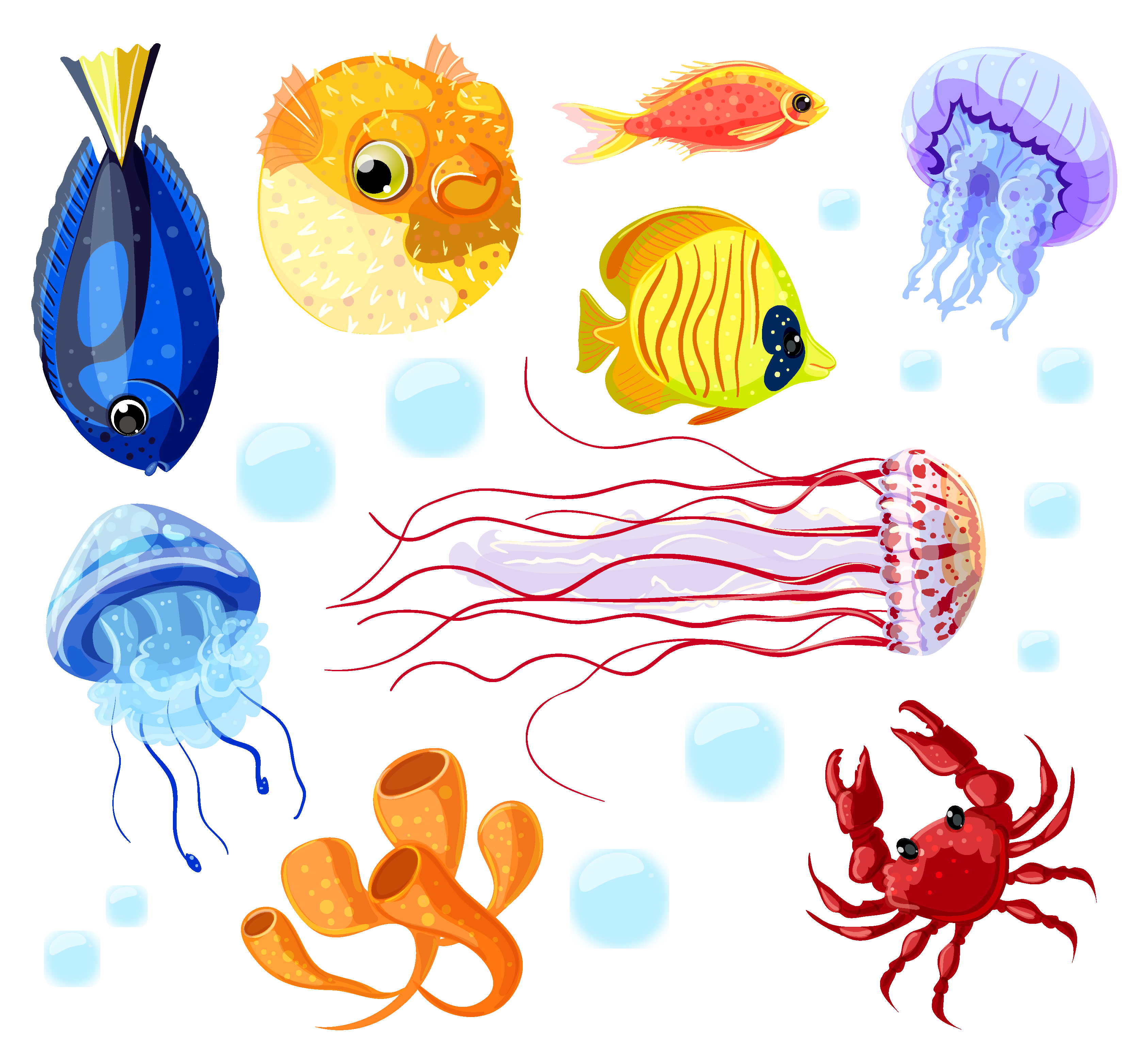 Adesivo murale motivo subacqueo - TenStickers