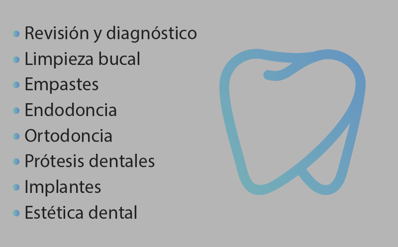 Vinilo escaparate translúcido con servicios personalizados - TenVinilo