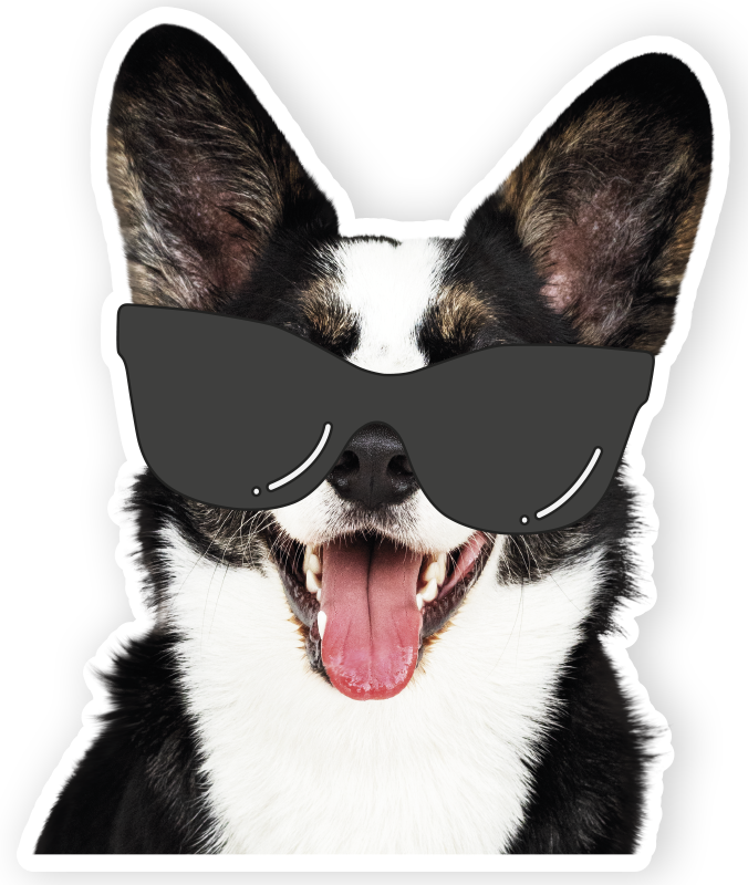 Naklejka na laptopa okulary przeciwsłoneczne zabawa pies - TenStickers