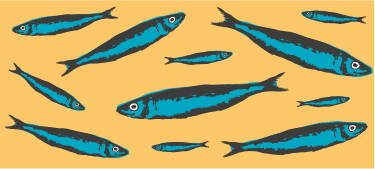 Sardalya balığı duvar sınır çıkartması - TenStickers