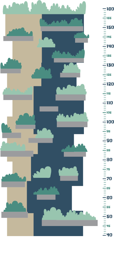 Adesivo infantile metro bosco verticale - TenStickers