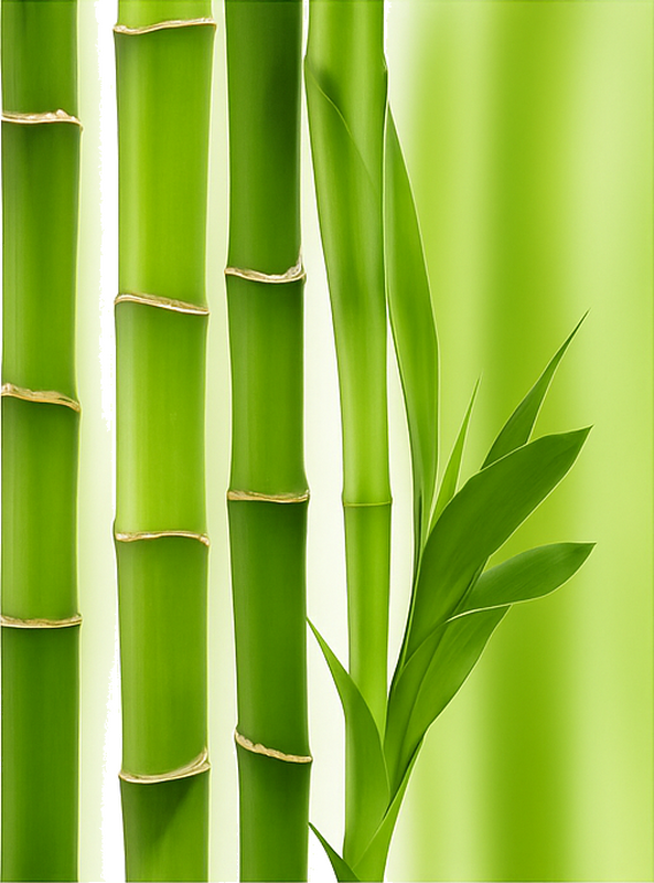 Realistic bamboo furniture sticker - TenStickers