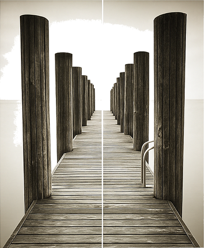 动物贴画 木甲板 - TenStickers