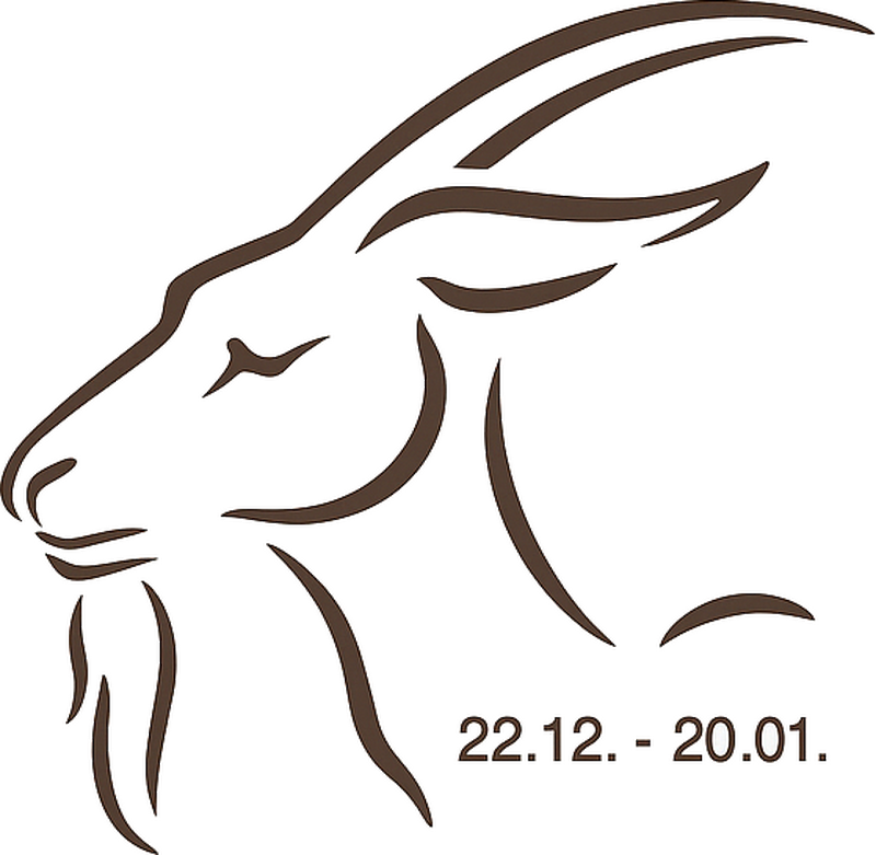 Wandtattoo steinbock-daten - TenStickers