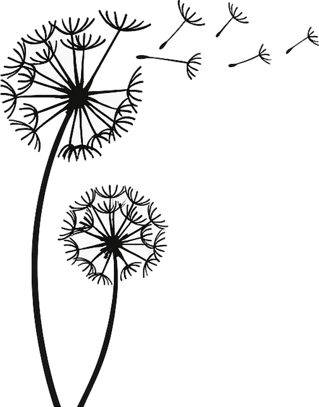 Dvi kiaulpienės lipdukas svetainei - „Tenstickers“