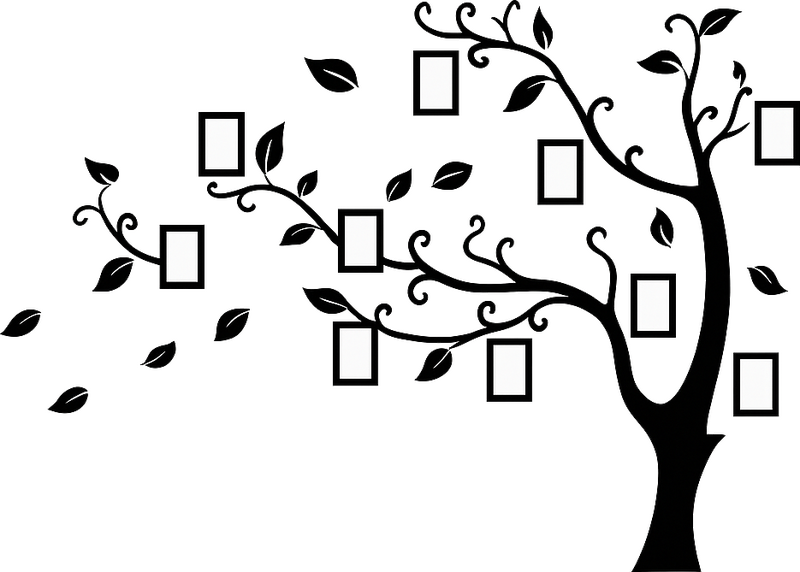 Sticker mural salon arbre généalogique noir - TenStickers