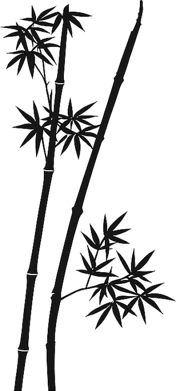 Vinilo para salón palo de bambú - TenVinilo