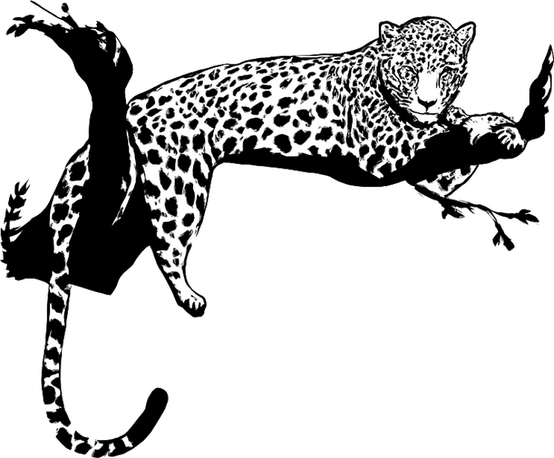 Leopard on tree living room wall sticker - TenStickers
