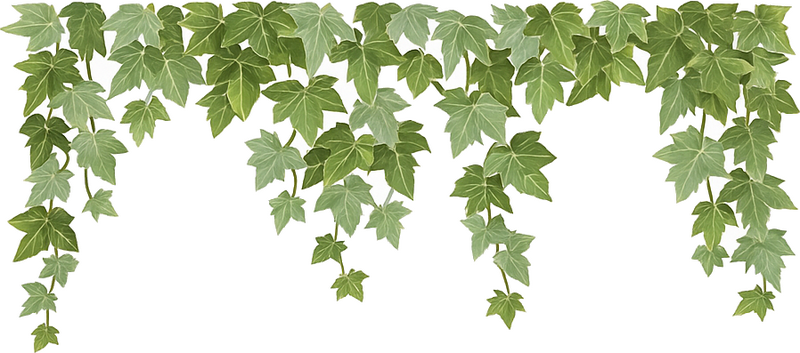 ivy plant dropping from ceiling living room wall sticker - TenStickers