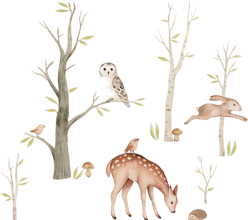 Autumn realistic forest childrens' wall stickers - TenStickers