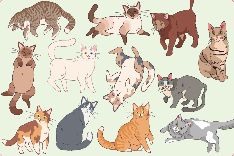 Forskellige animerede katte klistermærke til bærbar - TenStickers