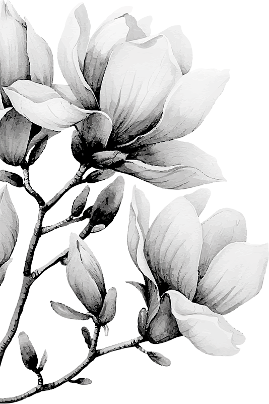 Blomster sort og hvid klistermærke til dør - TenStickers