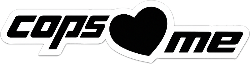 Pegatina coche a los policías les gusto - TenVinilo