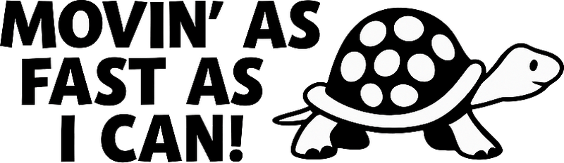Car sticker funny slow turtle - TenStickers