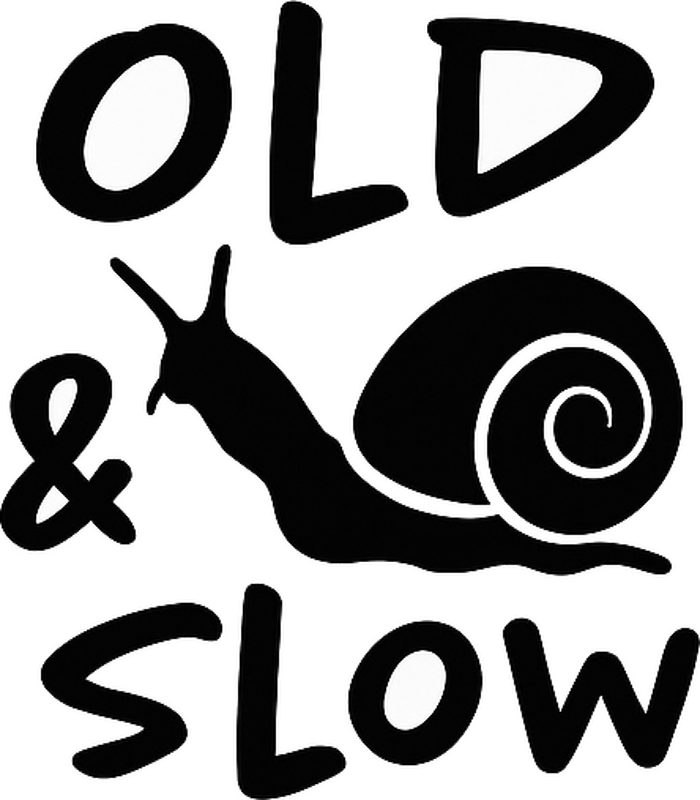 Old and slow snail car sticker - TenStickers