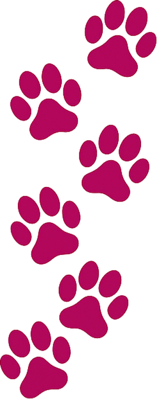 Car sticker monochrome paws set - TenStickers