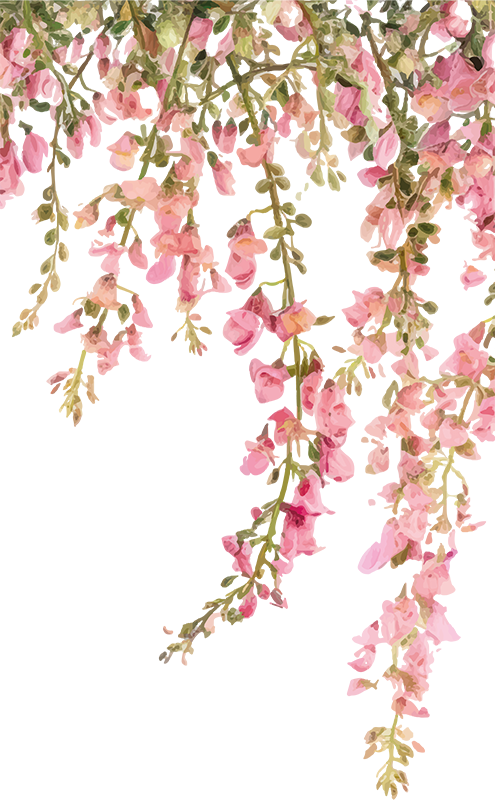 Roza etiketa nalepka za vrata - TenStickers