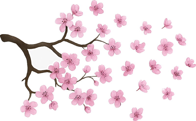 Adesivo per auto fiore di ciliegio rosa - TenStickers