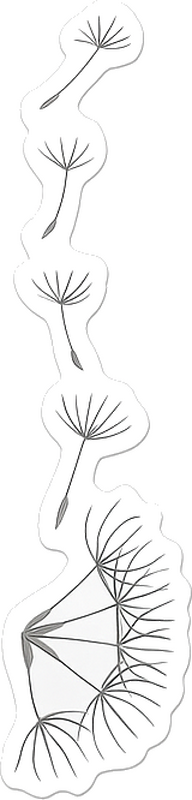 Vinilo espejo drift de semillas de diente de león - TenVinilo