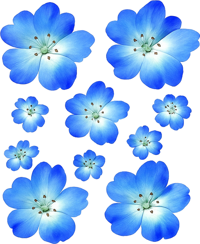 Fiets sticker blauwe bloemen - TenStickers