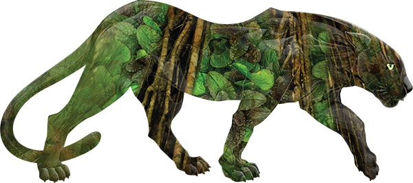 Djungeltryck panter vilda djur dekaler - Tenstickers