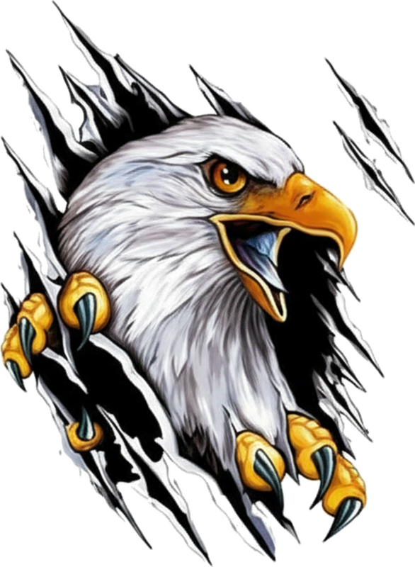Naklejka na samochód pazur amerykańskiego orła - TenStickers