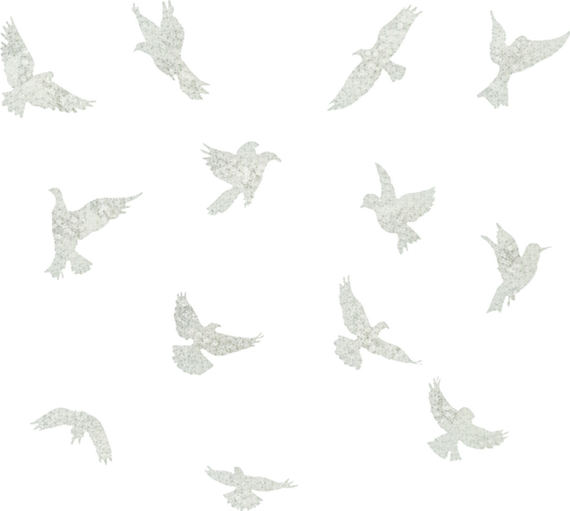 Adesivo para janela pássaros românticos - TenStickers