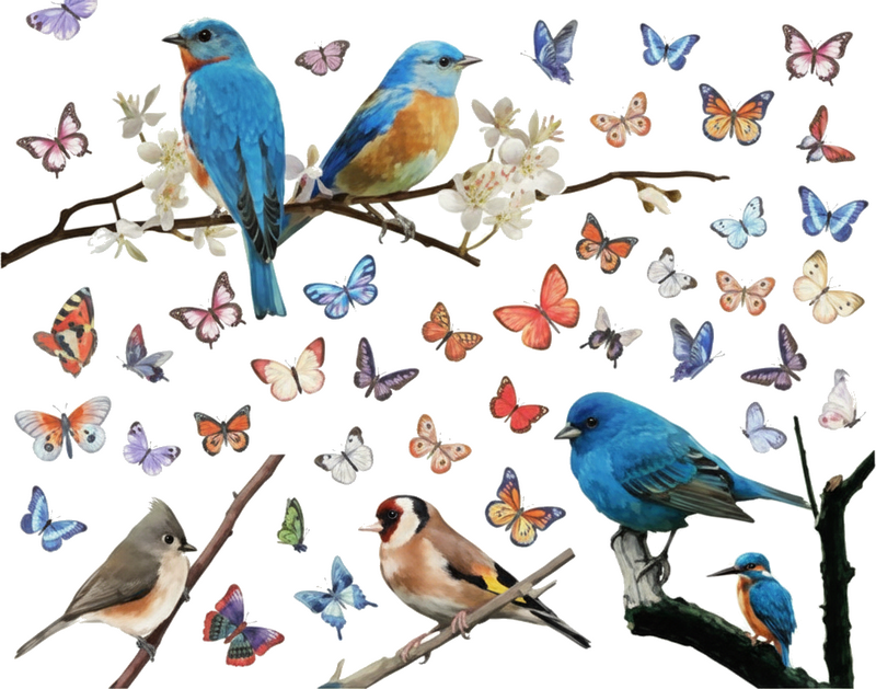 Vinilo para ventana aves y mariposas de la naturaleza - TenVinilo