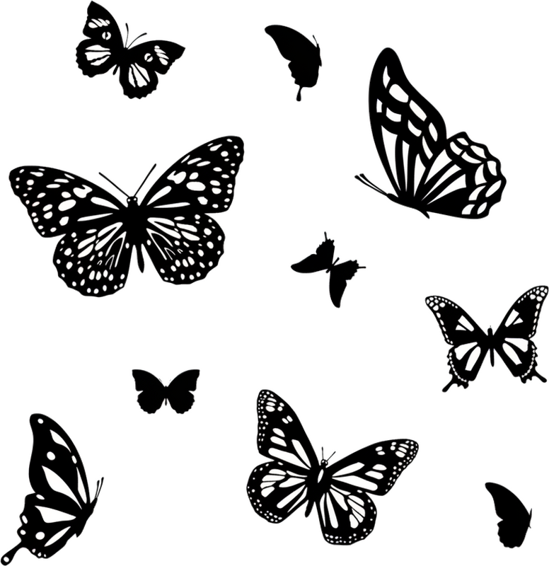 Window sticker monochrome butterflies - TenStickers