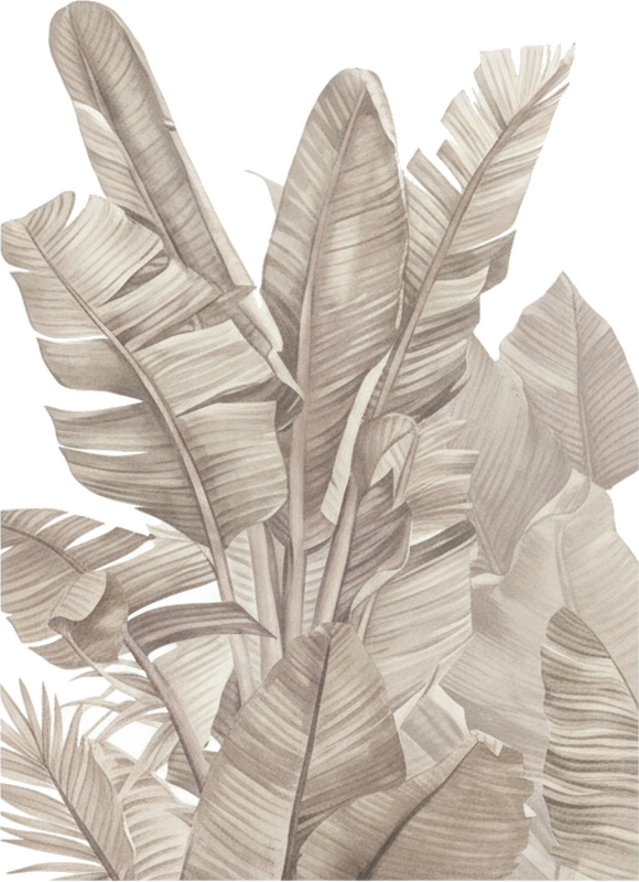 Vinilo para cristal ventana hojas de palma beige - TenVinilo