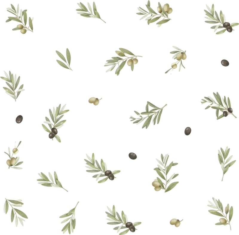 Vinilo para cristal ventana ramas de olivo set - TenVinilo