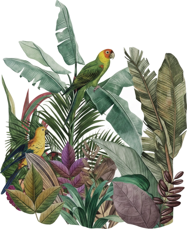 Vinilo para cristal ventana loros tropicales posados - TenVinilo
