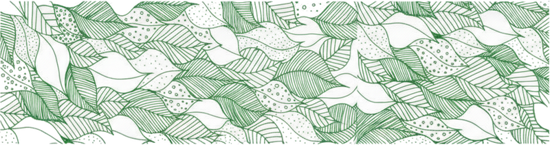 Vinilo para cristal ventana hojas verdes transparentes - TenVinilo