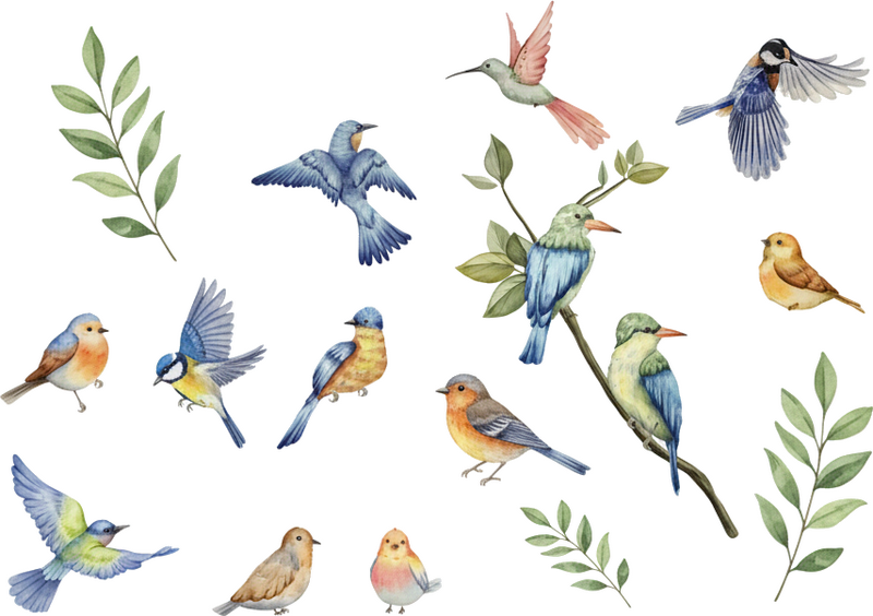Adesivo murale set di uccellini - TenStickers