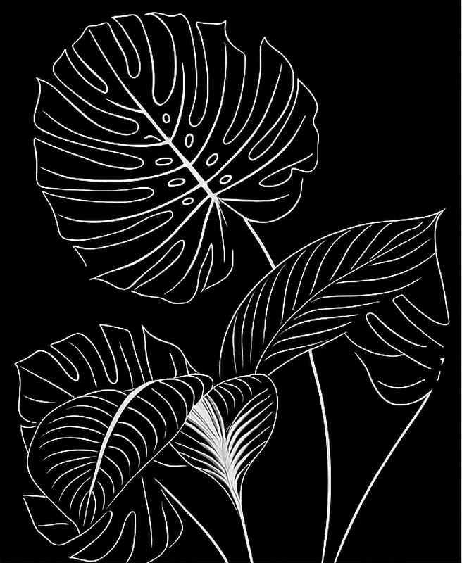 Vinilo para cristal ventana hojas de palmera minimalistas - TenVinilo