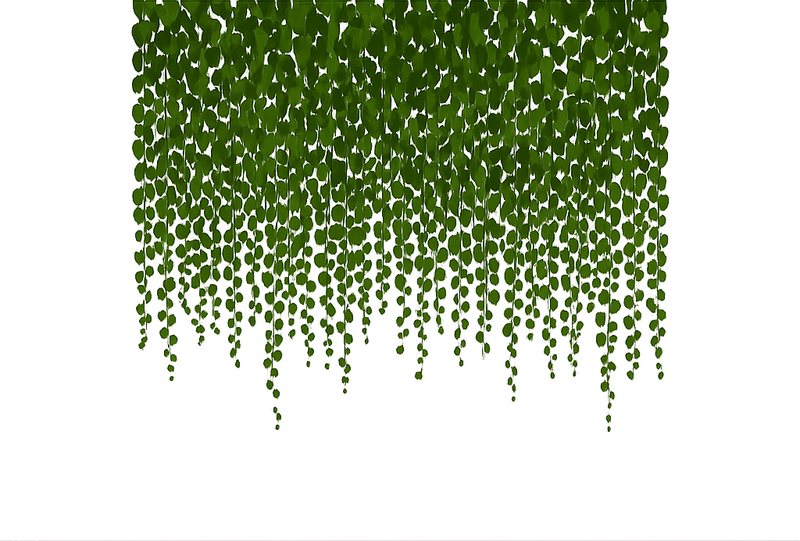 Vinilo translúcido para ventana enredaderas verdes - TenVinilo