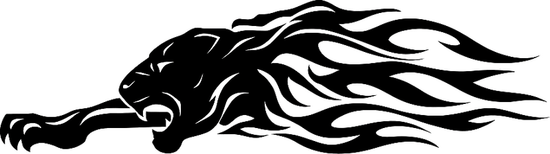 Sticker voiture panthère noire - TenStickers