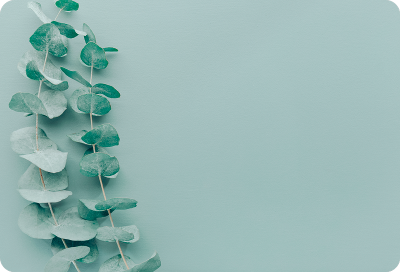 笔记本电脑皮肤 桉树叶图案 - TenStickers