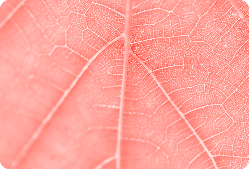 autocolante coral vivo portátil da textura do pc - TenStickers