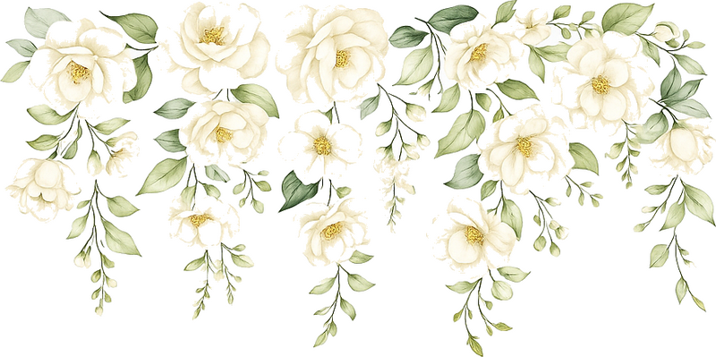 Nursery wall sticker hanging white rose vines - TenStickers