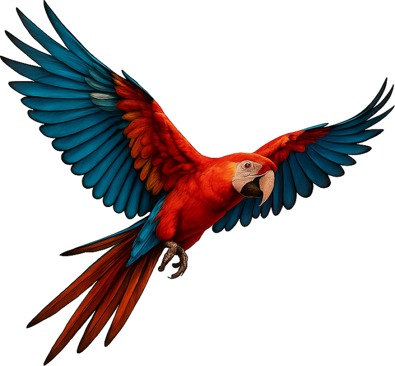 Adesivo per vetro uccello tropicale - TenStickers